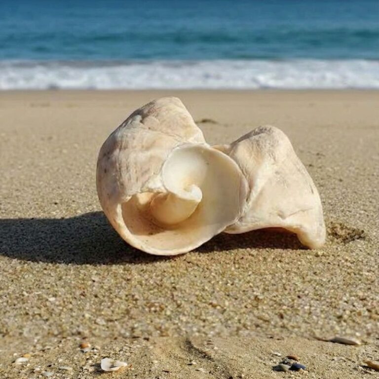 Wie ich lernte, meine Vision zu leben