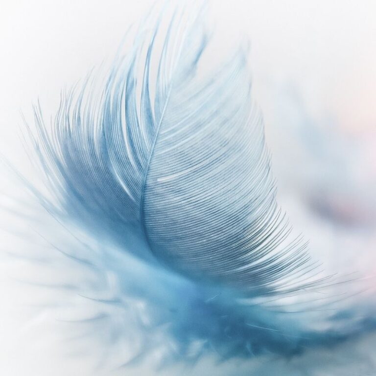 Die  stille  Revolution in der lauten Innenwelt